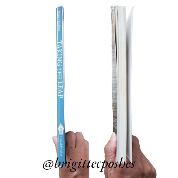 PEMA CHODRON Taking The Leap - Paperback - Picture 6 of 7